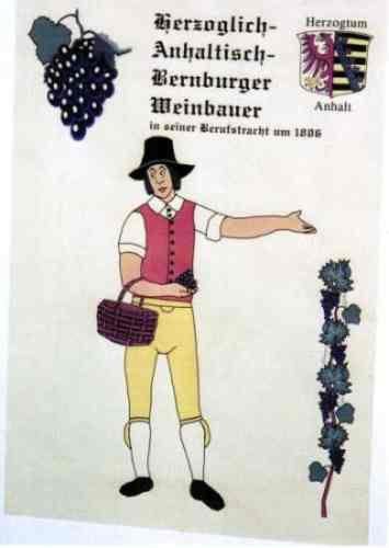 Bernburger Weinbauer in Tracht um 1806